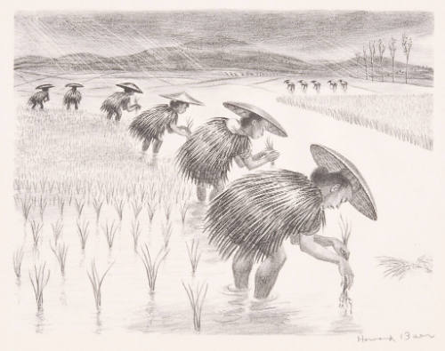 Planting Rice, Kunming, China