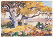 As Big as All Outdoors: Watercolors from the Permanent Collection