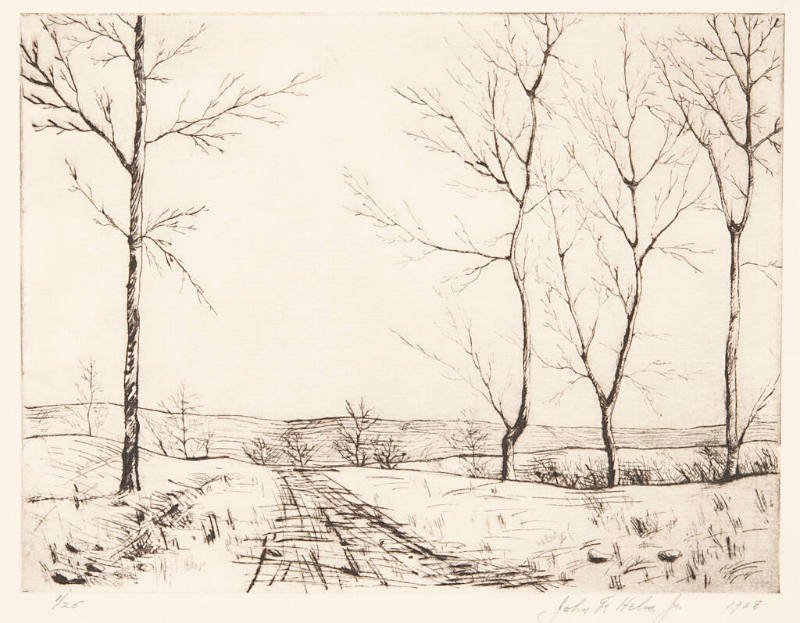 Saplings in Winter