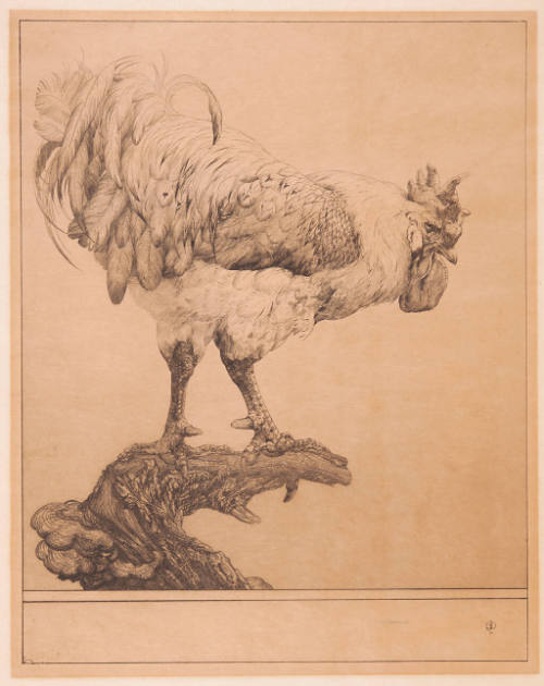 Untitled (rooster)