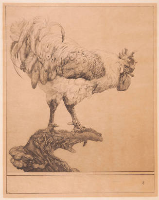Untitled (rooster)