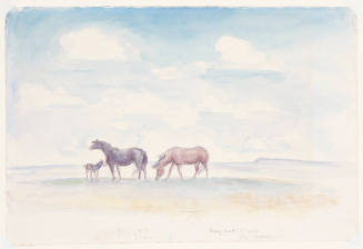 John Steuart Curry, Horses in Pasture, 1933, watercolor, 11 1/4 x 18 1/2 in., Kansas State Univ…