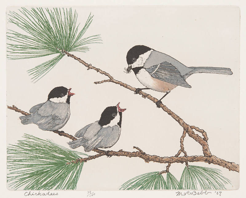 Chickadees