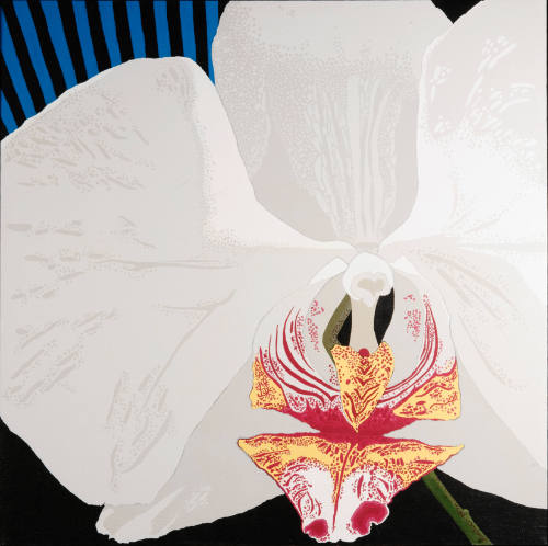 Judi Geer Kellas, Moth Orchid, November 1982, 34 x 34 in., Kansas State University, Marianna Ki…