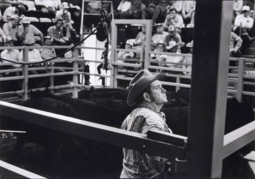 Man Looking up in Arena