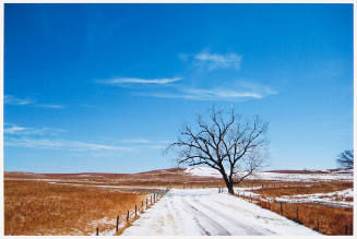 Winter With Snow