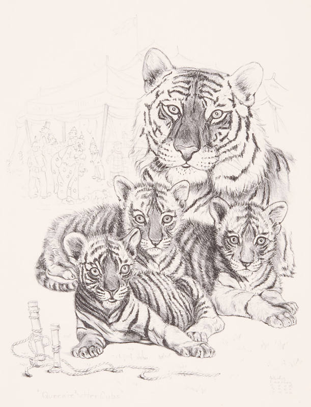 "Queenie" and Her Cubs