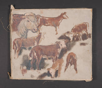 Title unknown (sketch of Hereford cattle)