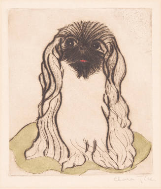 Pekinese