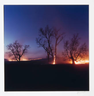 Three Trees Burning, Chase County, Kansas, 1994