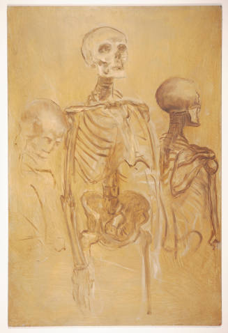 Skeletons