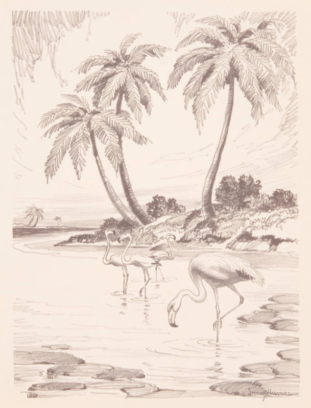Title unknown (flamingos and palm trees)