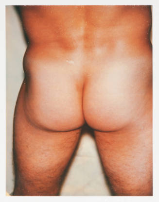 Nude Model (male)