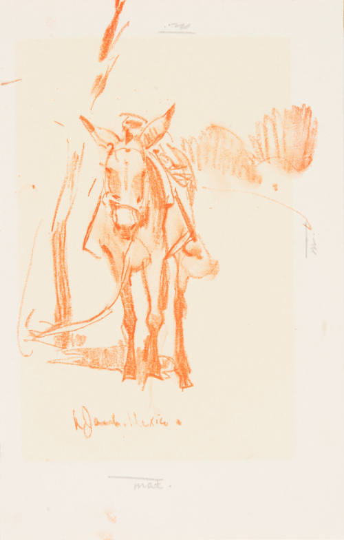 Title unknown (mexican donkey)