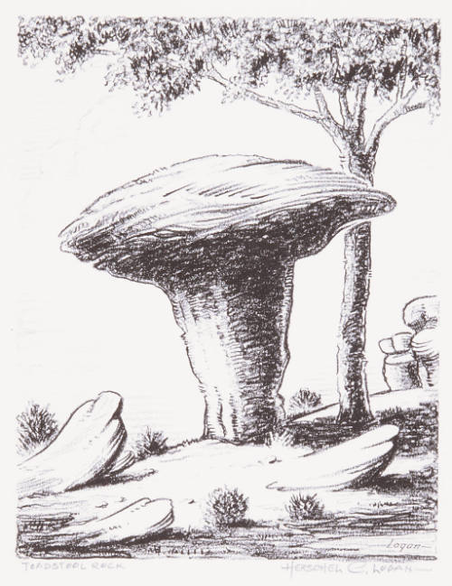 Toadstool Rocks