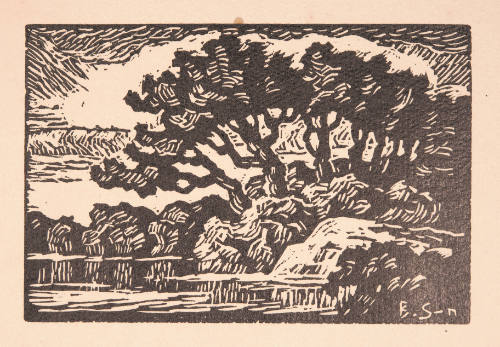 Title unknown (landscape with trees and stream)