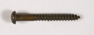 Screw (6mm head)