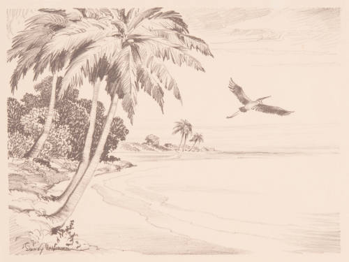 Title unknown (flying bird and palm trees)