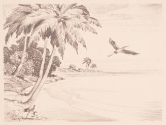 Title unknown (flying bird and palm trees)