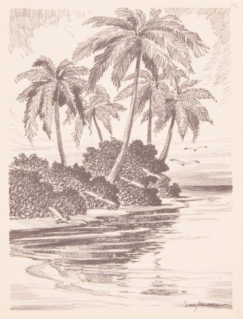 Title unknown (water, palms, and flying birds)