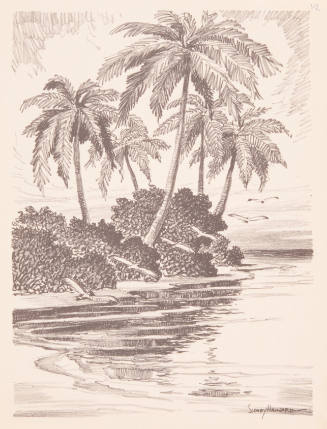 Title unknown (water, palms, and flying birds)