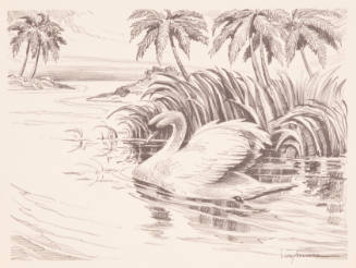 Title unknown (swan and palm trees)