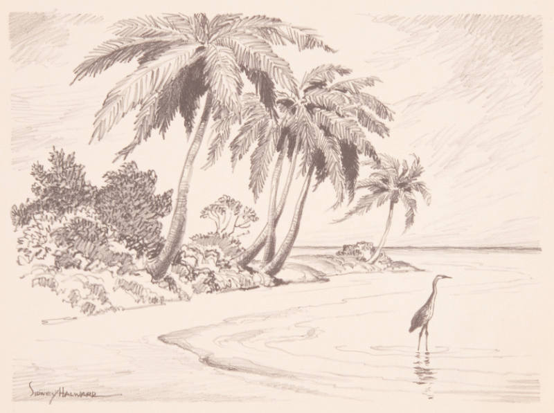 Title unknown (palm trees, water, and stork)