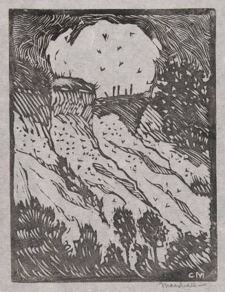 Title unknown (landscape with cliffs and birds)