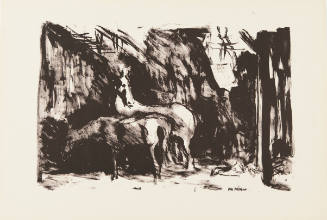 12 Lithographien: die Leiden der Pferde im Krieg (12 Lithographies: The Suffering of Horses in War)