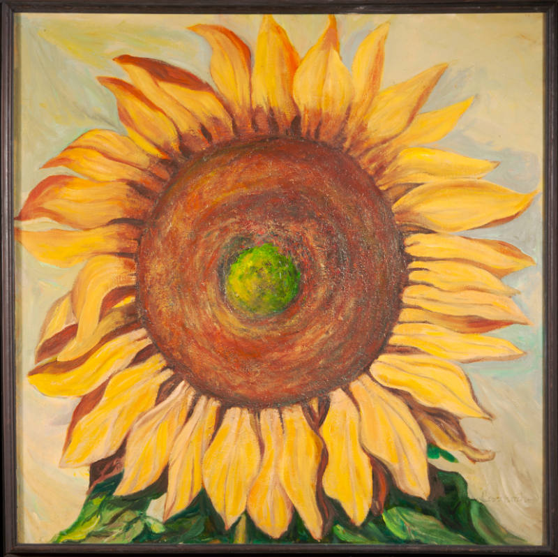 Sunflower III