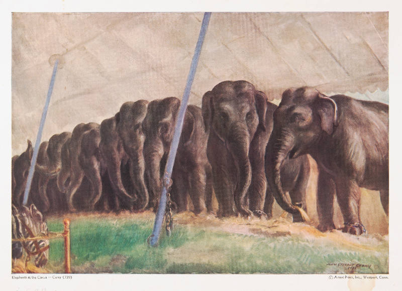 Elephants at the Circus