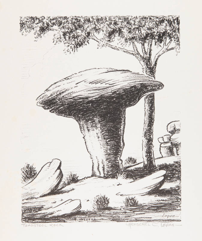 Toadstool Rocks