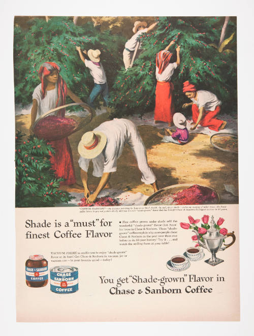 Advertisement for Chase and Sanborn Coffee featuring Lawrence Beall Smith's Coffee Harvest