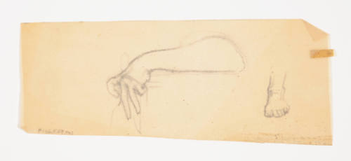 Study of an arm at rest