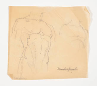 Study of a male torso (after John H. Vanderpoel)