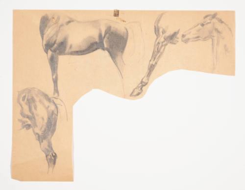 Horse studies (recto) and figure study (verso)