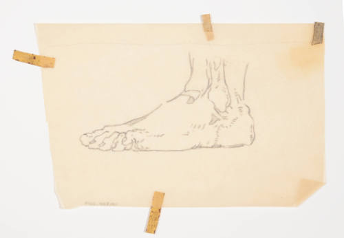 Study of a foot