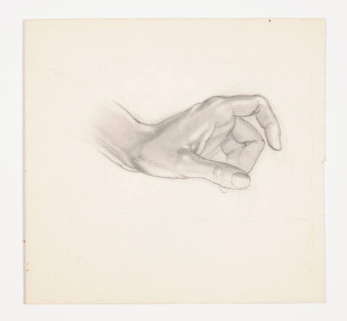 Study of a hand