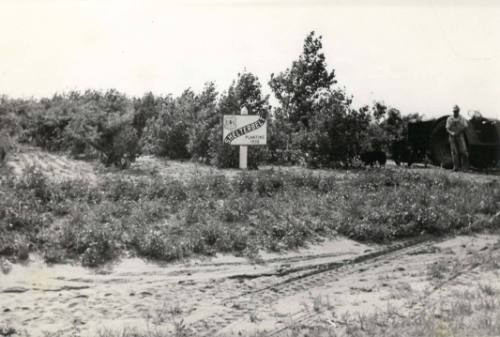 Shelterbelt Plantng, Clarence Clark Farm, West of Great Bend, Kansas