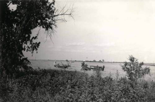 "Tractors and Reapers" in Wheat Field, East of Pawnee Rock, Kansas