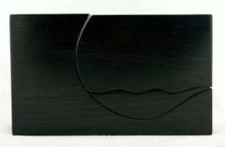 Rita Blitt, Black Box VII, Aspects of Nature II, 1990, painted wood, 11 x 18 1/4 x 3 7/8 in., K…