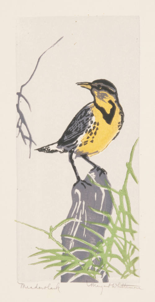 Margaret Evelyn Whittemore, Meadowlark, ca. 1935, linocut, 7 15/16 x 5 3/4 in., Kansas State Un…