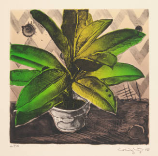 Karsten Creightney, Untitled (green plant), 2018, lithograph, 8 11/16 x 9 in., Kansas State Uni…