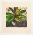 Karsten Creightney, Untitled (green plant), 2018, lithograph, 8 11/16 x 9 in., Kansas State Uni…