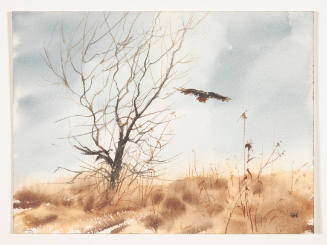 Jim Hagan, Hawk in Winter, ca. 1975, watercolor, 9 1/16 x 12 1/8 in., Kansas State University, …