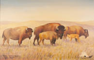 Louis ShipShee, Bison_ Central Plains, mid 20th century, oil on canvas, 29 x 41 in., Kansas Sta…