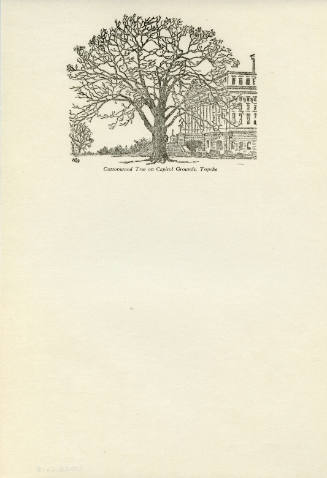 Cottonwood Tree on Capitol Grounds, Topeka, Kansas (page proof)