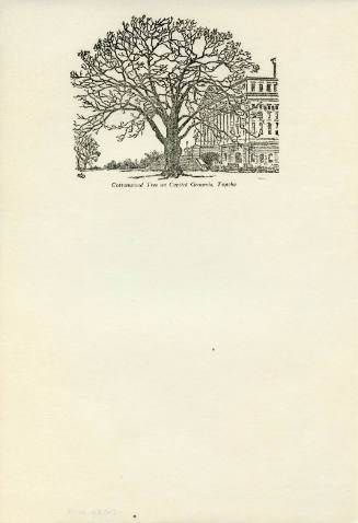 Cottonwood Tree on Capitol Grounds, Topeka, Kansas (page proof)