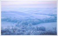 Kevin Sink, After the Ice Storm, 2000, printed 2020, inkjet print, 22 1/4 x 36 in., Kansas Stat…