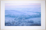 Kevin Sink, After the Ice Storm, 2000, printed 2020, inkjet print, 22 1/4 x 36 in., Kansas Stat…